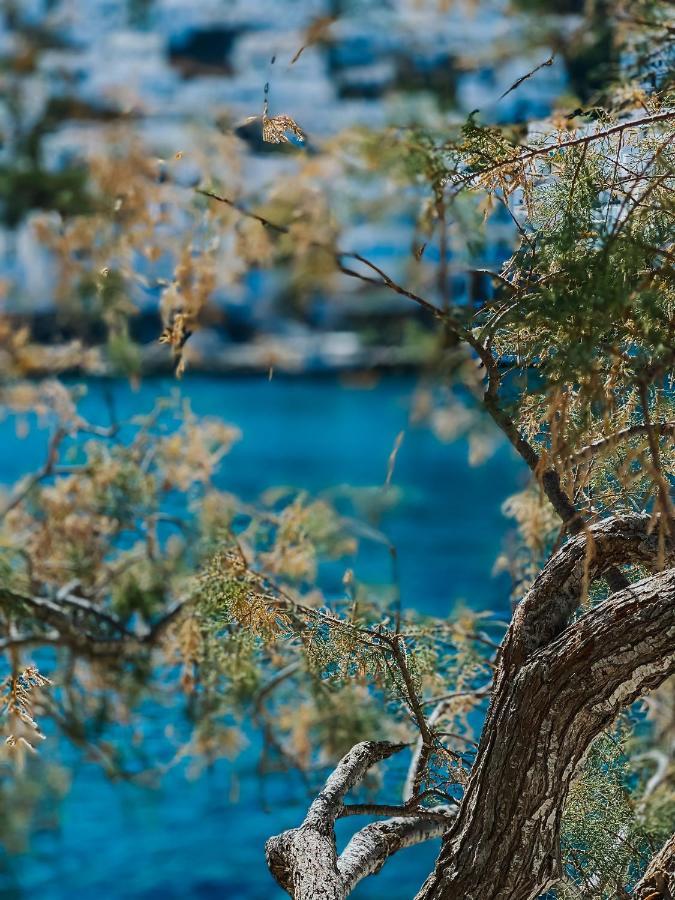 Vithos Seaside Astypalaia